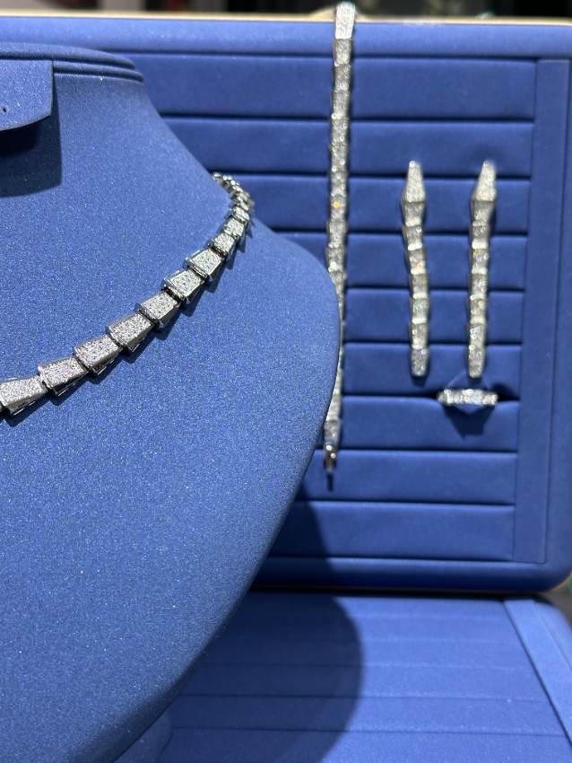 Silver Snake